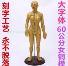 MÔ HÌNH HUYỆT ĐẠO CƠ THỂ NỮ (60CM, MÀU VÀNG)