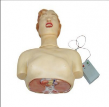 MÔ HÌNH THỰC HÀNH HỒI SỨC TIM PHỔI CPR ĐƠN GIẢN (BỘ)