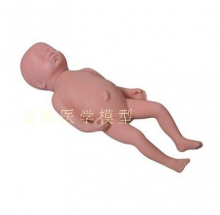 MÔ HÌNH THAI NHI ĐỦ THÁNG (45CM)