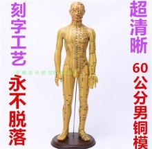 MÔ HÌNH HUYỆT ĐẠO CƠ THỂ NAM (60CM, MÀU VÀNG)