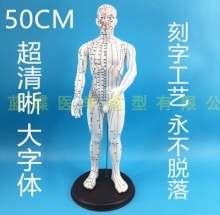 MÔ HÌNH HUYỆT ĐẠO CƠ THỂ NAM (50CM, MÀU TRẮNG)