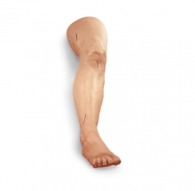 mô hình khâu vết thương ở chân