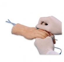 mô hình tiêm tĩnh mạch bàn tay