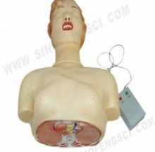 MÔ HÌNH HỒI SỨC TIM PHỔI CPR XC-404